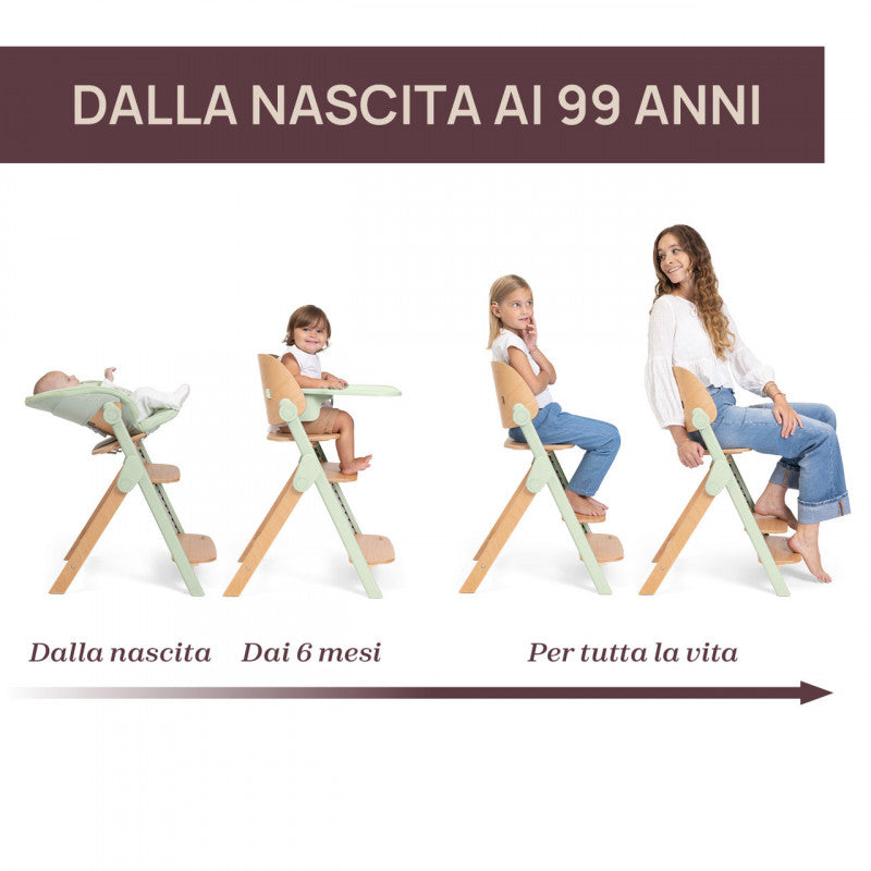 Chaises hautes Chicco Meraviglia -  Ebony