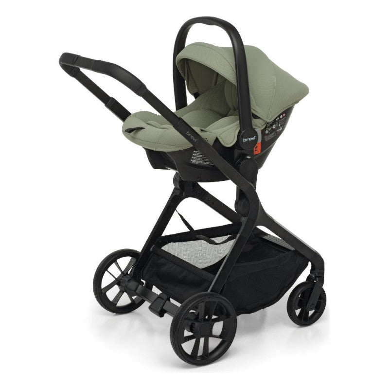copy of Trio Brio Brevi