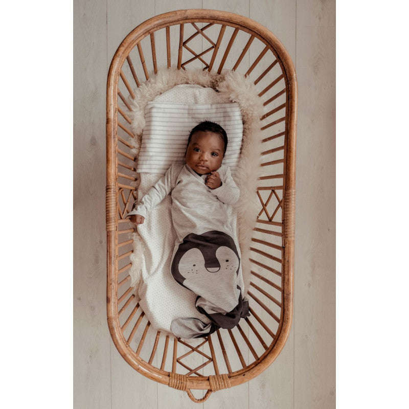 Sleep Bag Penguin - 3-6 Months