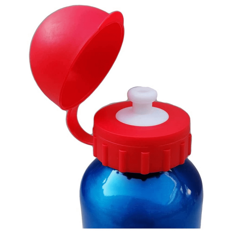 copy of Gourde en Aluminium Disney