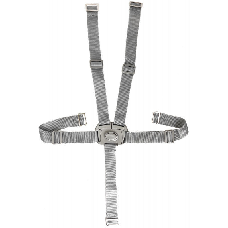 Kit Belts For Highchair Campione Cam